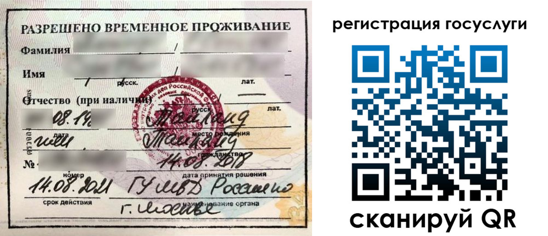 прописка в Вязьме